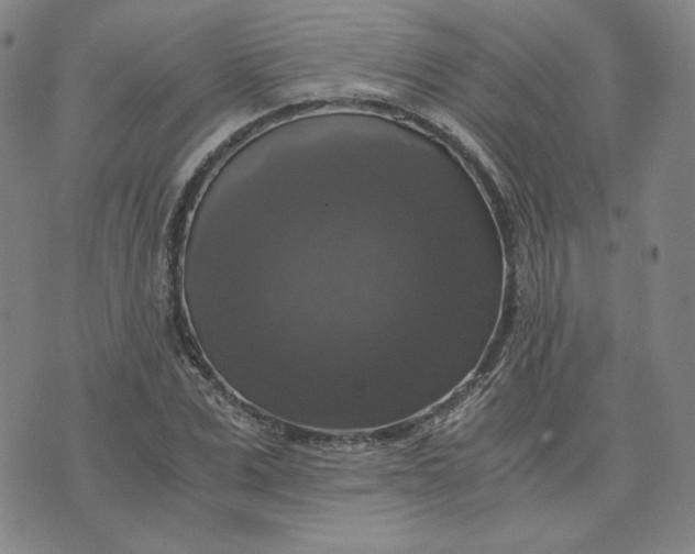 X0000076310975200610161614