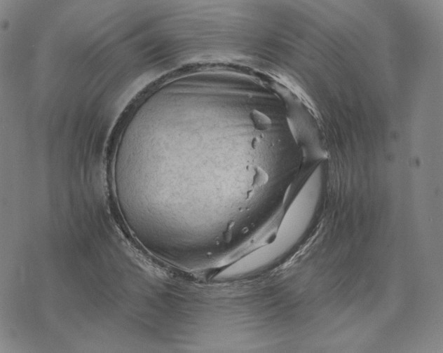 X0000076310976200610161614