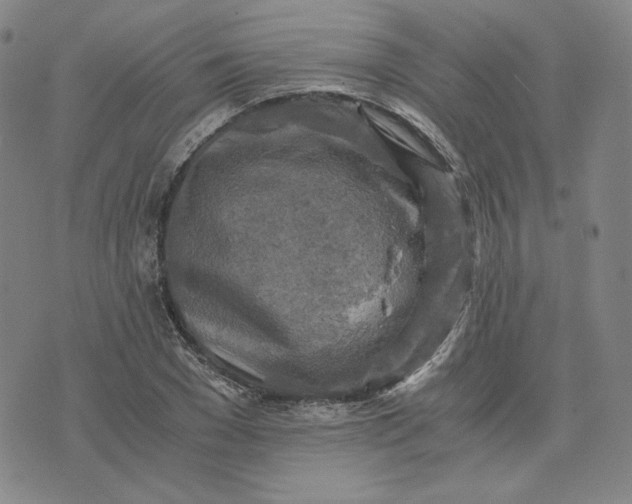 X0000076310977200610161614