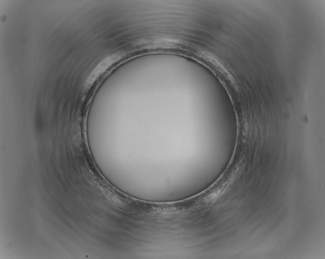 X0000076310978200610161614