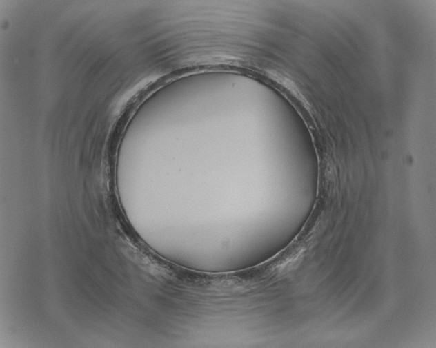 X0000076310979200610161614