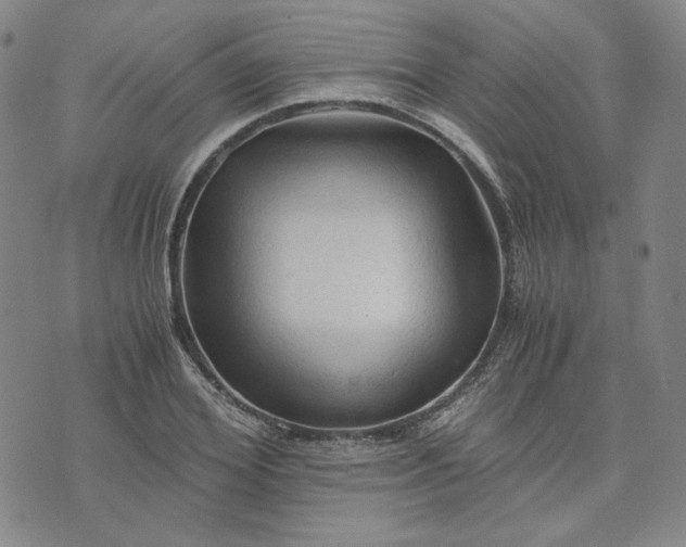 X0000076310980200610161614