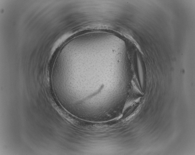 X0000076310981200610161614