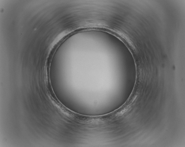 X0000076310982200610161614