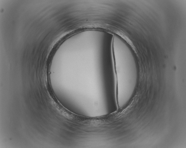 X0000076310984200610161614