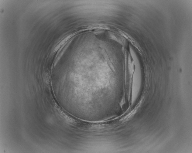 X0000076310985200610161614