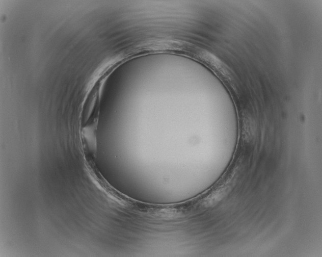 X0000076310986200610161614