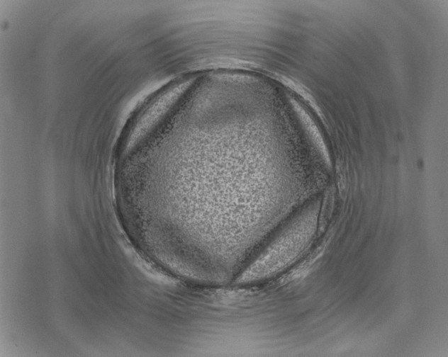 X0000076310987200610161614