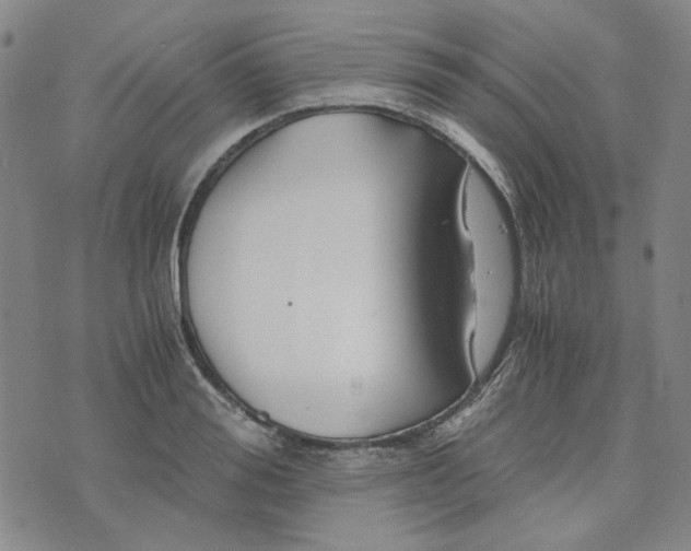 X0000076310988200610161614