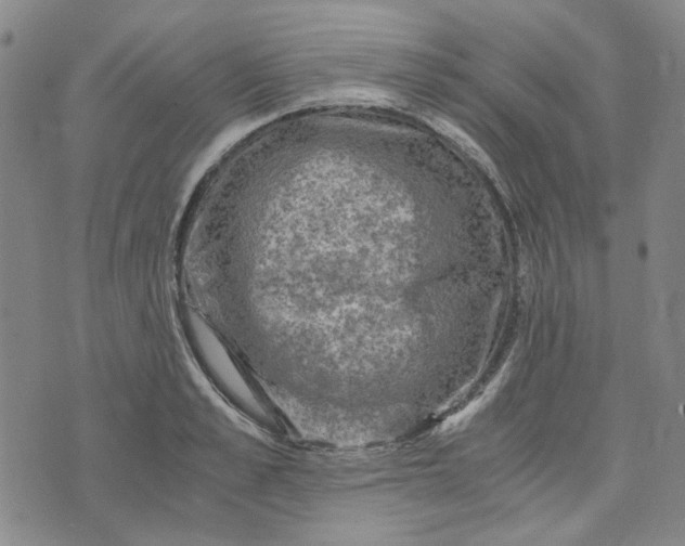 X0000076310989200610161614