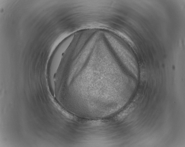 X0000076310990200610161614