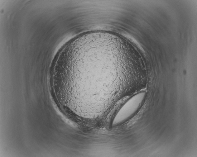 X0000076310991200610161614