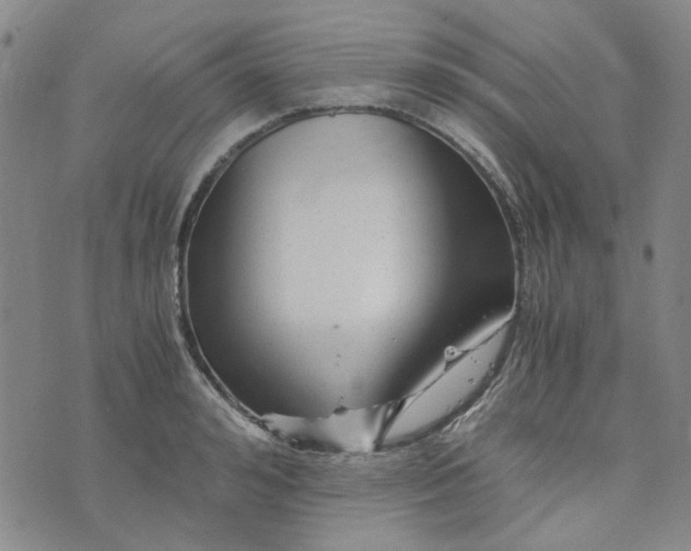 X0000076310992200610161614