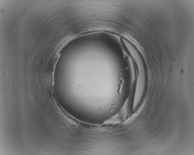 X0000076310993200610161614