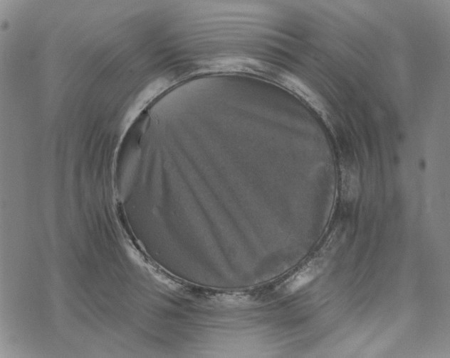 X0000076310994200610161614