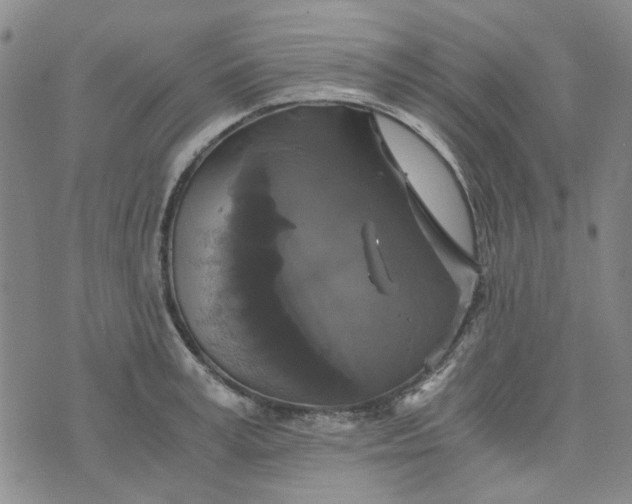 X0000076310995200610161614