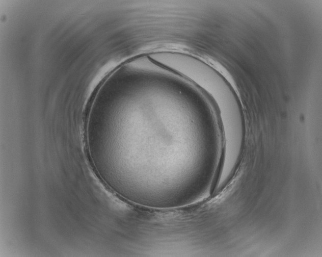 X0000076310997200610161614