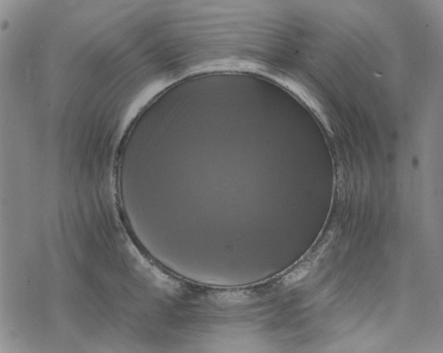 X0000076310998200610161614