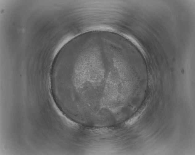 X0000076310999200610161614