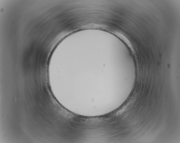 X0000076311000200610161614