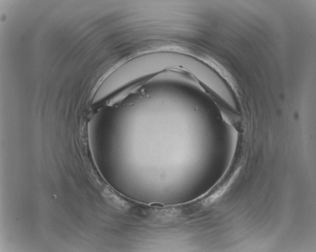 X0000076311001200610161614