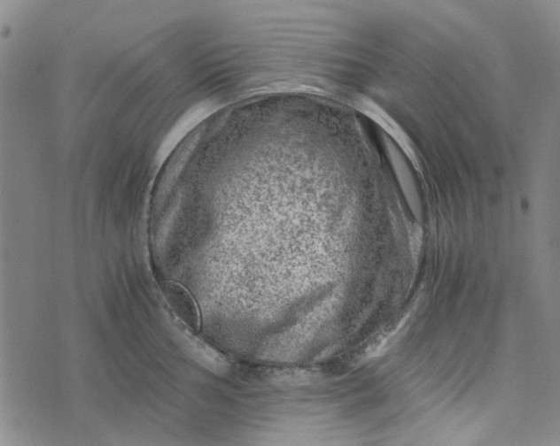 X0000076311002200610161614