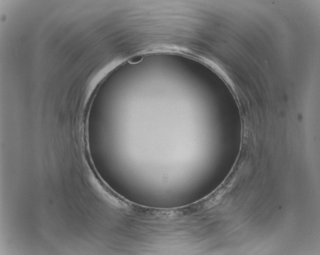 X0000076311003200610161614