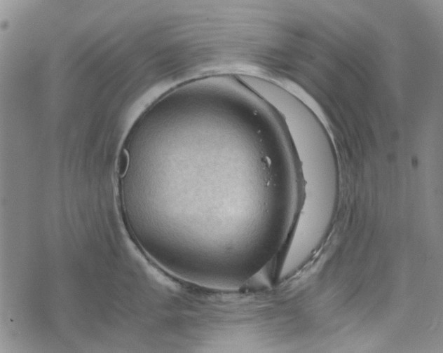 X0000076311005200610161614