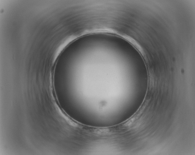 X0000076311006200610161614