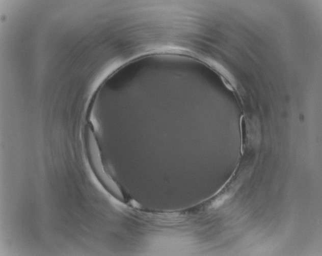 X0000076311007200610161614