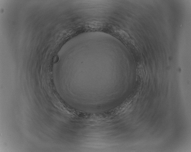 X0000076311009200610161613