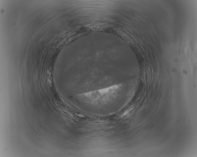 X0000076311010200610161613