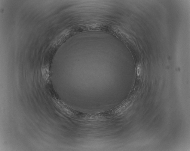 X0000076311011200610161613