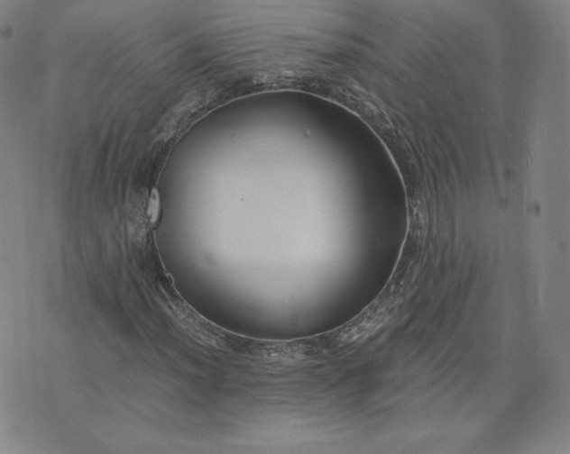 X0000076311012200610161613