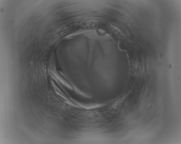 X0000076311013200610161613