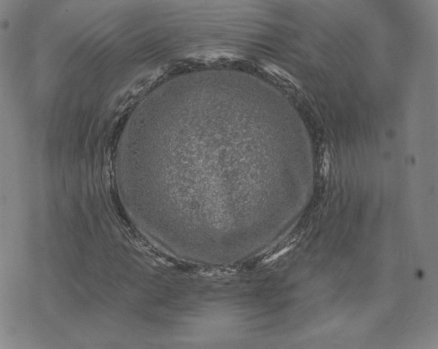 X0000076311014200610161613