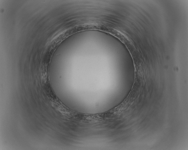 X0000076311015200610161613