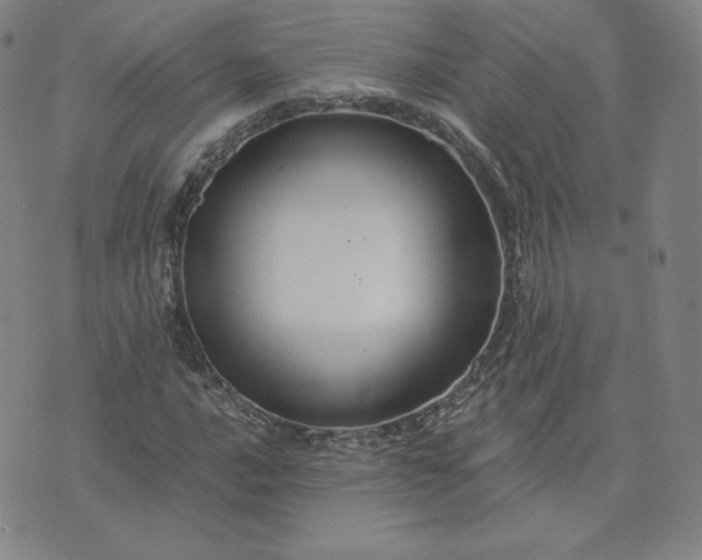 X0000076311016200610161613