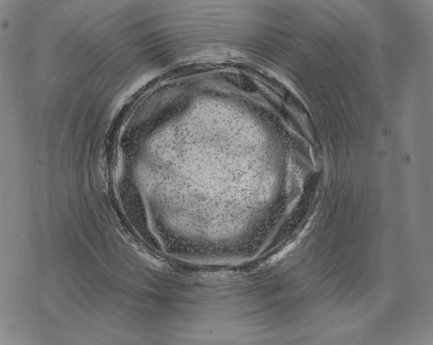 X0000076311018200610161613