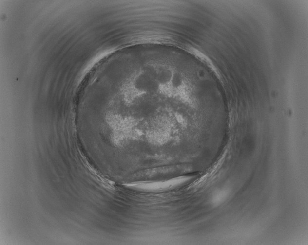 X0000076311019200610161613