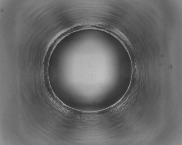 X0000076311020200610161613