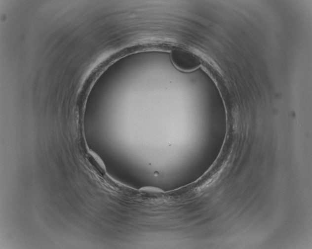 X0000076311021200610161613