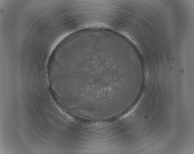 X0000076311022200610161613