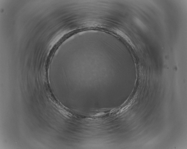 X0000076311023200610161613