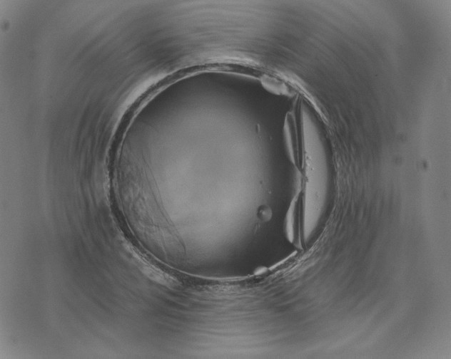 X0000076311024200610161613