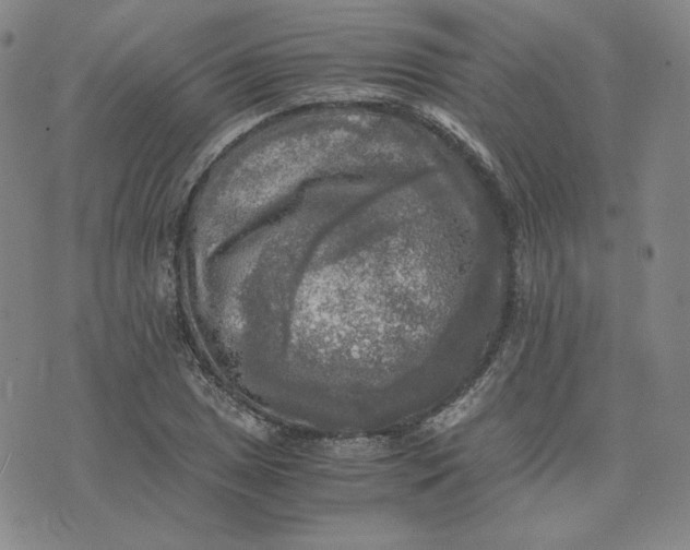 X0000076311025200610161613