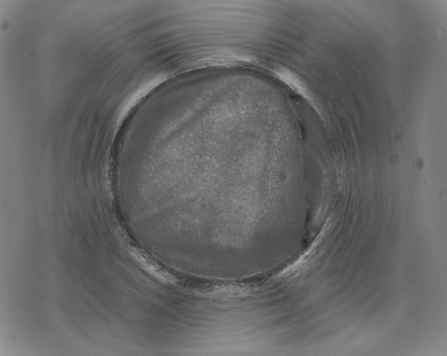 X0000076311026200610161613