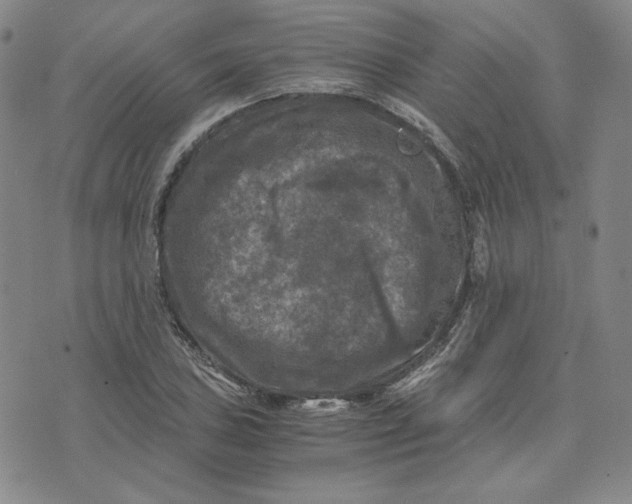 X0000076311027200610161613