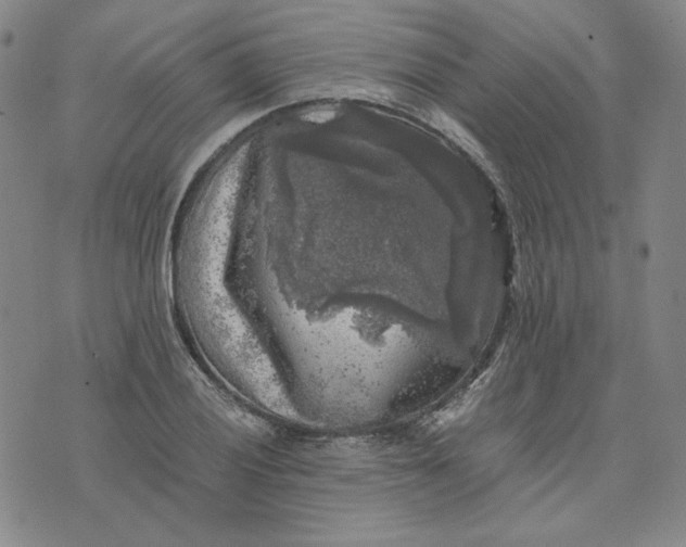 X0000076311028200610161613