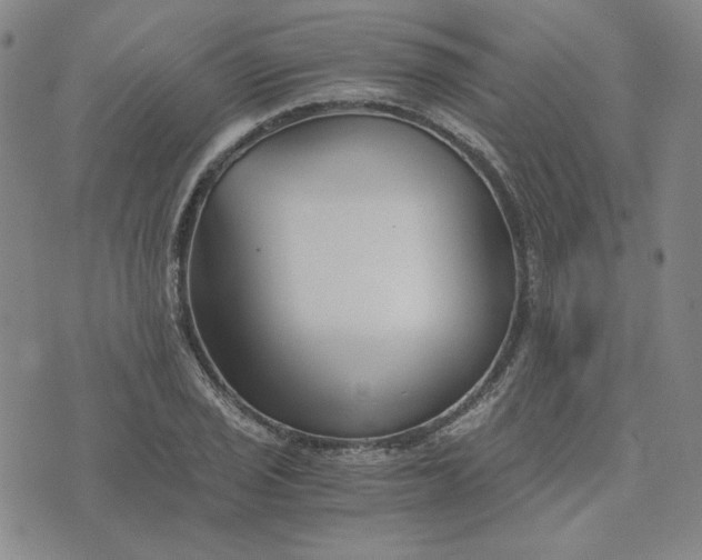 X0000076311029200610161613